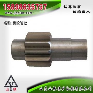 點(diǎn)擊查看詳細(xì)信息<br>標(biāo)題：齒輪軸12 江陰系列配件 閱讀次數(shù)：2231