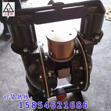 點擊查看詳細信息<br>標題：氣動隔膜泵 閱讀次數：1951