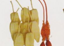 點擊查看詳細信息<br>標題：取氣樣球膽 閱讀次數：226